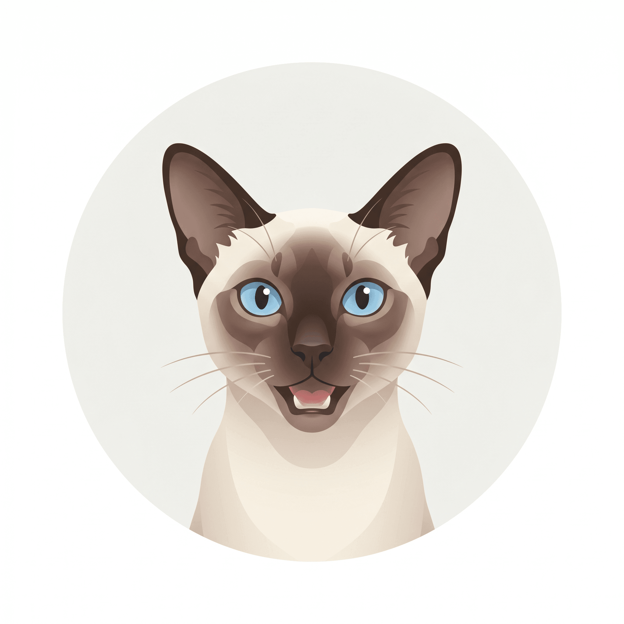 Siamese cat